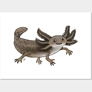 Amphibians - Axolotl - Wild Brown Posters and Art